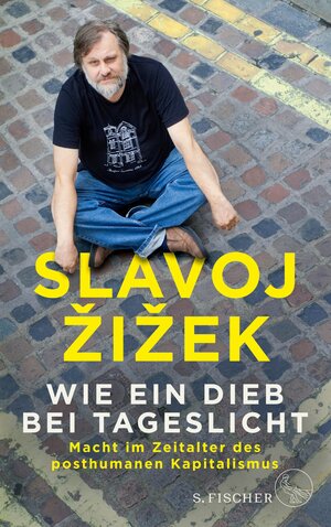 Buchcover Wie ein Dieb bei Tageslicht | Slavoj Žižek | EAN 9783104910796 | ISBN 3-10-491079-0 | ISBN 978-3-10-491079-6
