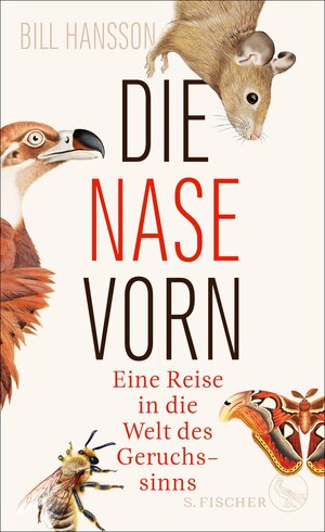 Buchcover Die Nase vorn | Bill Hansson | EAN 9783104913476 | ISBN 3-10-491347-1 | ISBN 978-3-10-491347-6