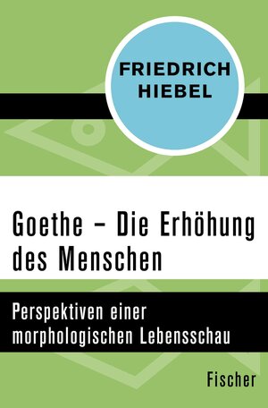 Buchcover Goethe | Friedrich Hiebel | EAN 9783105614006 | ISBN 3-10-561400-1 | ISBN 978-3-10-561400-6