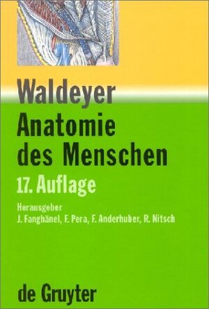 Anatomie des Menschen