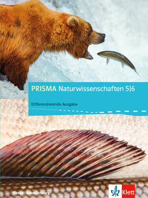 Buchcover PRISMA Naturwissenschaften 5/6. Differenzierende Ausgabe Berlin, Brandenburg  | EAN 9783120686835 | ISBN 3-12-068683-2 | ISBN 978-3-12-068683-5