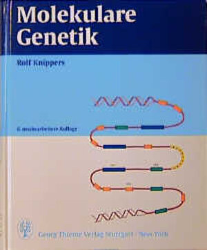 Buchcover Molekulare Genetik | Rolf Knippers | EAN 9783131039163 | ISBN 3-13-103916-7 | ISBN 978-3-13-103916-3