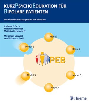 Kurzpsychoedukation für Bipolare Patienten: Das einfache Kurzprogramm in 6 Modulen