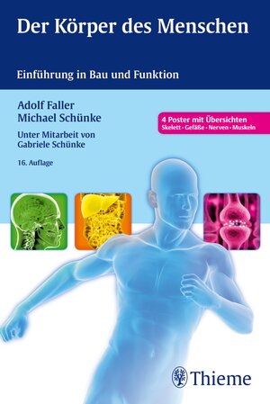 Buchcover Der Körper des Menschen | Adolf Faller | EAN 9783131519566 | ISBN 3-13-151956-8 | ISBN 978-3-13-151956-6