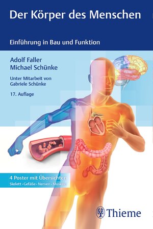 Buchcover Der Körper des Menschen | Adolf Faller | EAN 9783131677877 | ISBN 3-13-167787-2 | ISBN 978-3-13-167787-7