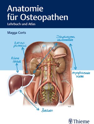 Buchcover Anatomie für Osteopathen | Magga Corts | EAN 9783132206212 | ISBN 3-13-220621-0 | ISBN 978-3-13-220621-2