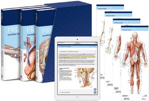 Buchcover PROMETHEUS LernPaket Anatomie  | EAN 9783132425378 | ISBN 3-13-242537-0 | ISBN 978-3-13-242537-8