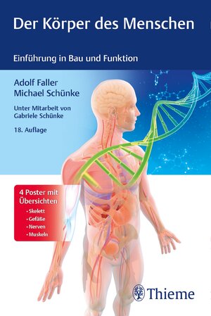 Buchcover Der Körper des Menschen  | EAN 9783132438200 | ISBN 3-13-243820-0 | ISBN 978-3-13-243820-0