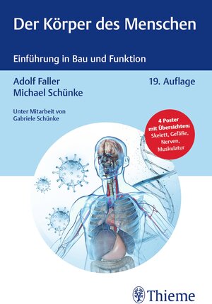 Buchcover Der Körper des Menschen | Michael Schünke | EAN 9783132439344 | ISBN 3-13-243934-7 | ISBN 978-3-13-243934-4