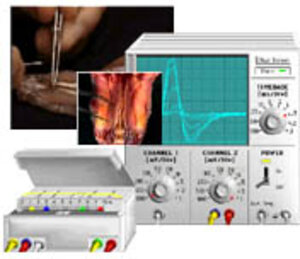 Buchcover Virtual Physiology - SimHeart, SimMuscle, SimNerve, SimPatch, SimVessel / SimNerv: Simulation von Summenaktionspotentialen peripherer Nerven am Beispiel des Nervus ischiadicus des Krallenfrosches | Martin Ch Hirsch | EAN 9783137996019 | ISBN 3-13-799601-5 | ISBN 978-3-13-799601-9