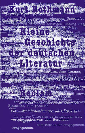 Kleine Geschichte der deutschen Literatur.
