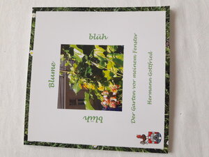 Buchcover Der Garten vor meinem Fenster | Hermann Gottfried | EAN 9783200086562 | ISBN 3-200-08656-4 | ISBN 978-3-200-08656-2