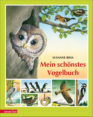 Buchcover Mein schönstes Vogelbuch | Susanne Riha | EAN 9783219115383 | ISBN 3-219-11538-1 | ISBN 978-3-219-11538-3