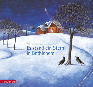 Buchcover Es stand ein Stern in Bethlehem | Willi Fährmann | EAN 9783219117493 | ISBN 3-219-11749-X | ISBN 978-3-219-11749-3