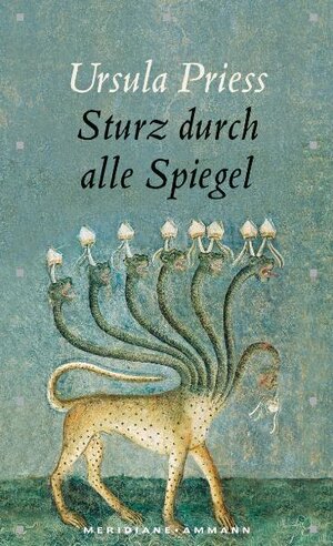 Buchcover Sturz durch alle Spiegel | Ursula Priess | EAN 9783250601319 | ISBN 3-250-60131-4 | ISBN 978-3-250-60131-9