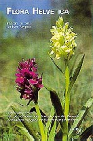 Buchcover Flora Helvetica | Konrad Lauber | EAN 9783258057354 | ISBN 3-258-05735-4 | ISBN 978-3-258-05735-4