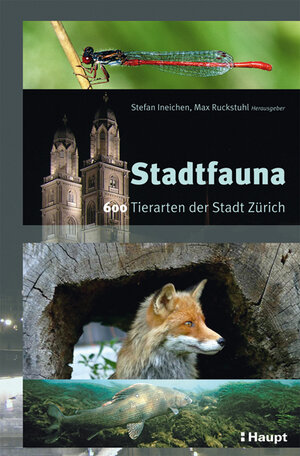 Buchcover Stadtfauna  | EAN 9783258075617 | ISBN 3-258-07561-1 | ISBN 978-3-258-07561-7