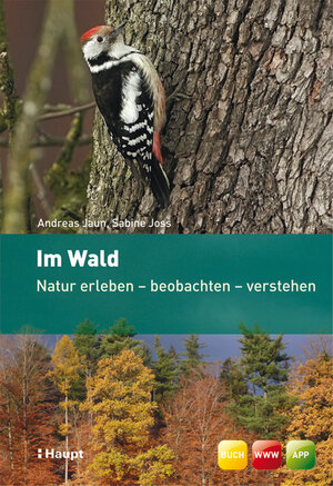 Buchcover Im Wald | Andreas Jaun | EAN 9783258075907 | ISBN 3-258-07590-5 | ISBN 978-3-258-07590-7