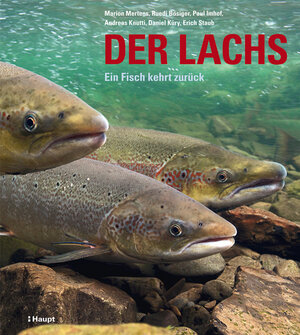 Buchcover Der Lachs | Marion Mertens | EAN 9783258076157 | ISBN 3-258-07615-4 | ISBN 978-3-258-07615-7