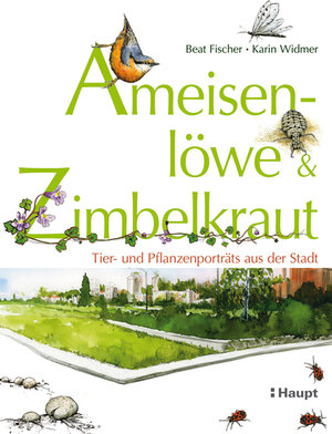 Buchcover Ameisenlöwe und Zimbelkraut | Beat Fischer | EAN 9783258076461 | ISBN 3-258-07646-4 | ISBN 978-3-258-07646-1