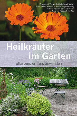 Buchcover Heilkräuter im Garten | Thomas Pfister | EAN 9783258078304 | ISBN 3-258-07830-0 | ISBN 978-3-258-07830-4