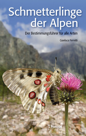 Buchcover Schmetterlinge der Alpen | Gianluca Ferretti | EAN 9783258078502 | ISBN 3-258-07850-5 | ISBN 978-3-258-07850-2
