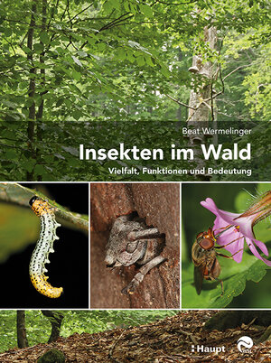 Buchcover Insekten im Wald | Beat Wermelinger | EAN 9783258079936 | ISBN 3-258-07993-5 | ISBN 978-3-258-07993-6