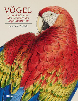 Buchcover Vögel - Geschichte und Meisterwerke der Vogelillustration | Jonathan Elphick | EAN 9783258080222 | ISBN 3-258-08022-4 | ISBN 978-3-258-08022-2