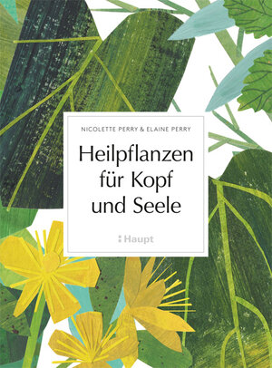 Buchcover Heilpflanzen für Kopf und Seele | Nicolette Perry | EAN 9783258080413 | ISBN 3-258-08041-0 | ISBN 978-3-258-08041-3