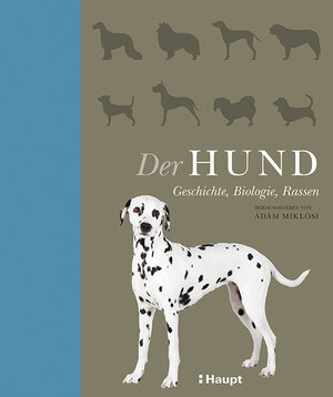 Buchcover Der Hund  | EAN 9783258080451 | ISBN 3-258-08045-3 | ISBN 978-3-258-08045-1