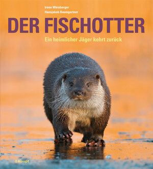 Buchcover Der Fischotter | Irene Weinberger | EAN 9783258080840 | ISBN 3-258-08084-4 | ISBN 978-3-258-08084-0