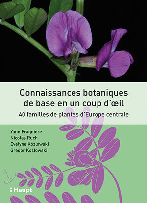 Buchcover Connaissances botaniques de base en un coup d'oeil | Yann Fragnière | EAN 9783258080918 | ISBN 3-258-08091-7 | ISBN 978-3-258-08091-8