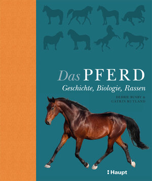 Buchcover Das Pferd | Debbie Busby | EAN 9783258080925 | ISBN 3-258-08092-5 | ISBN 978-3-258-08092-5