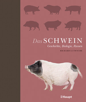 Buchcover Das Schwein | Richard Lutwyche | EAN 9783258080932 | ISBN 3-258-08093-3 | ISBN 978-3-258-08093-2