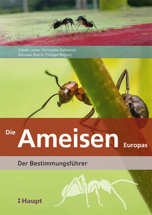Buchcover Die Ameisen Europas | Claude Lebas | EAN 9783258081274 | ISBN 3-258-08127-1 | ISBN 978-3-258-08127-4