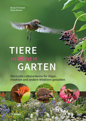 Buchcover Tiere in meinem Garten | Bruno P. Kremer | EAN 9783258081557 | ISBN 3-258-08155-7 | ISBN 978-3-258-08155-7