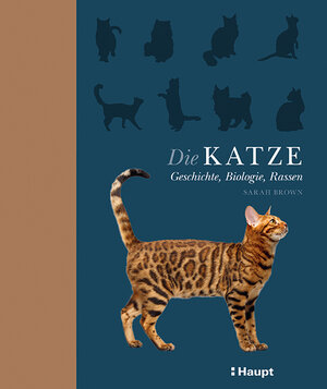 Buchcover Die Katze | Sarah Brown | EAN 9783258081649 | ISBN 3-258-08164-6 | ISBN 978-3-258-08164-9