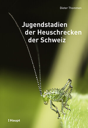 Buchcover Jugendstadien der Heuschrecken der Schweiz | Dieter Thommen | EAN 9783258082097 | ISBN 3-258-08209-X | ISBN 978-3-258-08209-7