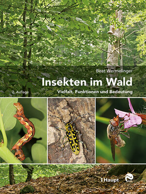 Buchcover Insekten im Wald | Beat Wermelinger | EAN 9783258082172 | ISBN 3-258-08217-0 | ISBN 978-3-258-08217-2