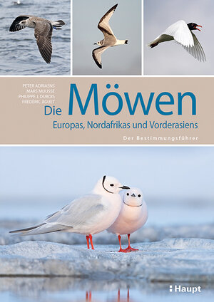 Buchcover Die Möwen Europas, Nordafrikas und Vorderasiens | Peter Adriaens | EAN 9783258082387 | ISBN 3-258-08238-3 | ISBN 978-3-258-08238-7
