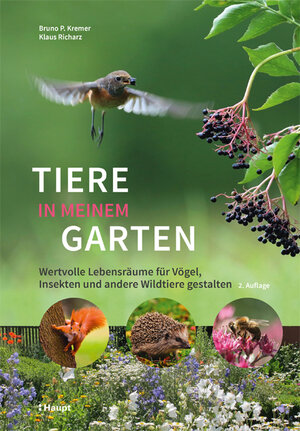 Buchcover Tiere in meinem Garten | Bruno P. Kremer | EAN 9783258082554 | ISBN 3-258-08255-3 | ISBN 978-3-258-08255-4