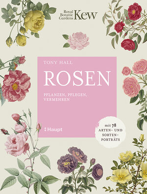 Buchcover Rosen | Tony Hall | EAN 9783258082592 | ISBN 3-258-08259-6 | ISBN 978-3-258-08259-2