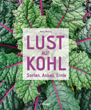 Buchcover Lust auf Kohl | Anna Weißig | EAN 9783258082691 | ISBN 3-258-08269-3 | ISBN 978-3-258-08269-1