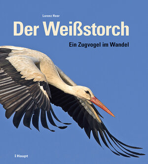 Buchcover Der Weißstorch | Lorenz Heer | EAN 9783258083544 | ISBN 3-258-08354-1 | ISBN 978-3-258-08354-4