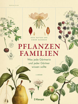 Buchcover Pflanzenfamilien | Ross Bayton | EAN 9783258083551 | ISBN 3-258-08355-X | ISBN 978-3-258-08355-1