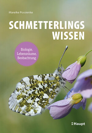 Buchcover Schmetterlingswissen | Mareike Possienke | EAN 9783258083582 | ISBN 3-258-08358-4 | ISBN 978-3-258-08358-2