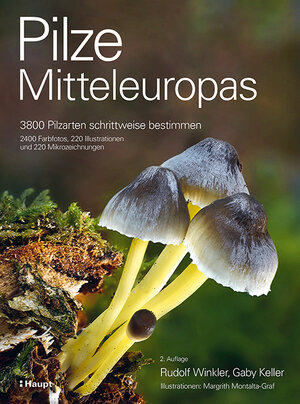 Buchcover Pilze Mitteleuropas | Rudolf Winkler | EAN 9783258083889 | ISBN 3-258-08388-6 | ISBN 978-3-258-08388-9