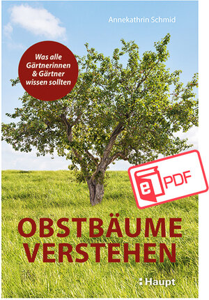 Buchcover Obstbäume verstehen | Annekathrin Schmid | EAN 9783258482187 | ISBN 3-258-48218-7 | ISBN 978-3-258-48218-7