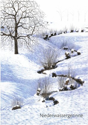 Buchcover Niederwassergerinne | Sylvia Durrer | EAN 9783271600018 | ISBN 3-271-60001-5 | ISBN 978-3-271-60001-8