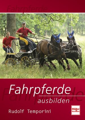 Fahrpferde ausbilden